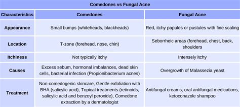 Comedones vs Fungal Acne: Differences and Effective Treatment Approaches