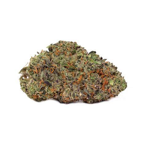 Gastro Pop Craft Weed Strain | Indica Weed Canada | Bulk Buddy