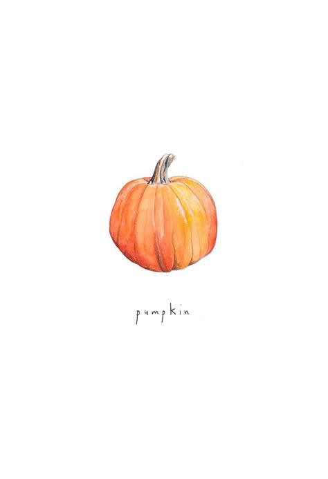 Pumpkin illustration by Aisling Teevan, watercolour and coloured pencil | Pumpkin illustration ...