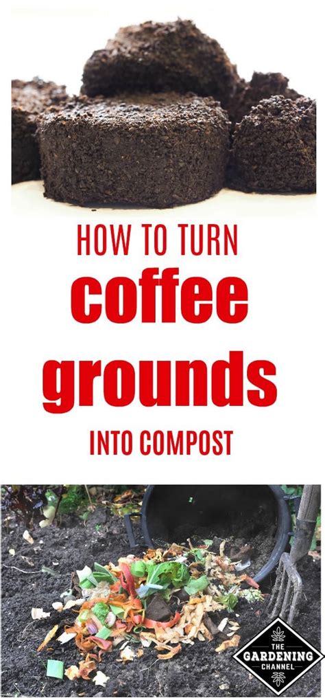 How to Compost Coffee Grounds - Gardening Channel