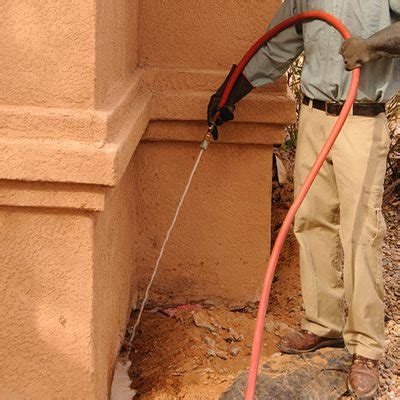 Drywood Termites - Preventive Pest Control