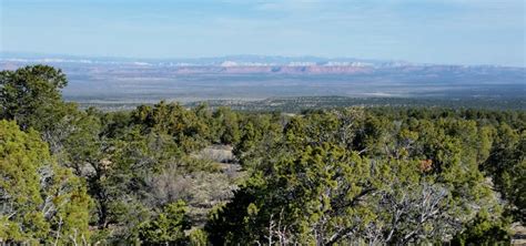 Kaibab National Forest | National Forests