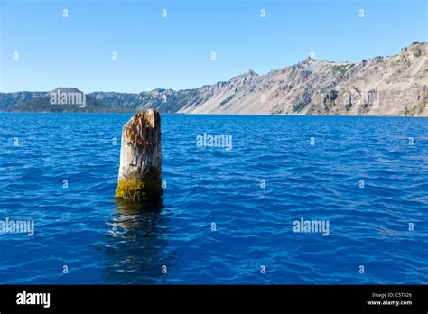 Old Man of the Lake floating log in Crater Lake Oregon USA Stock Photo ...