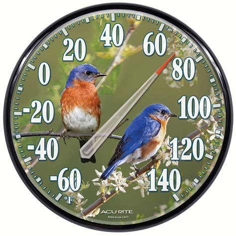 Accurite 12.5 IN Bluebird Indoor/Outdoor Thermometer | Blue bird, Vivid imagery, Outdoor walls