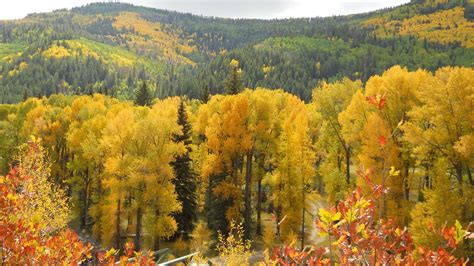 Angel Fire Chamber of Commerce | Travel new mexico, Angel fire, Angel ...