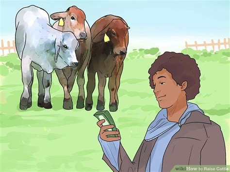 How to Raise Cattle: 10 Steps (with Pictures) - wikiHow