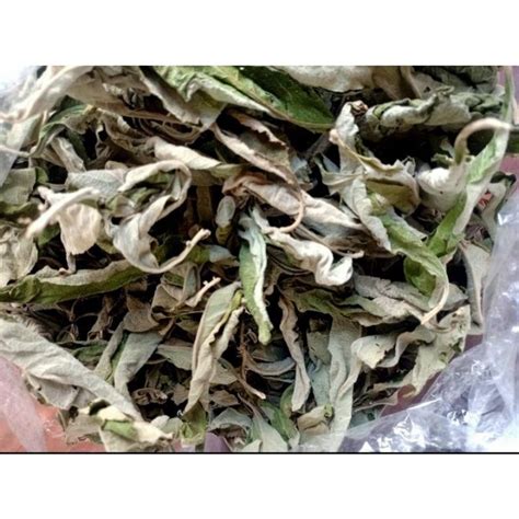 DRIED SAMBONG LEAVES | Lazada PH