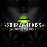 Sour Apple Kiss (par Elev8 Seeds) :: Info de Variété