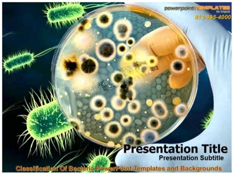 Classification of bacteria power point templates and backgrounds