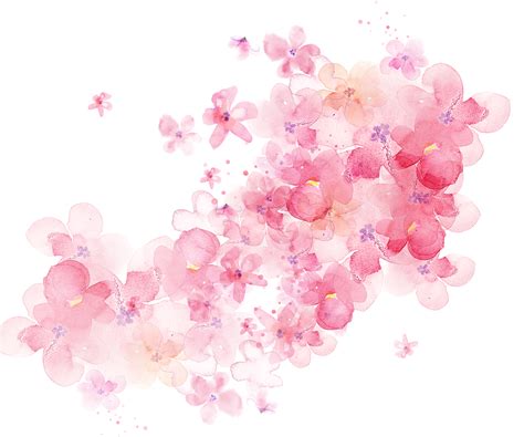 Aquarel Bloemen · Gratis afbeelding op Pixabay