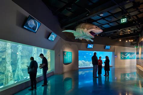 Toledo Zoo Aquarium | Bruce Damonte Architectural Photographer