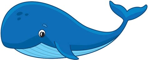 Whale clipart. Free download transparent .PNG | Creazilla