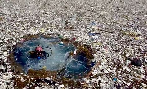 Watch: Photographer discovers two miles of garbage floating in the Caribbean | Floating ...