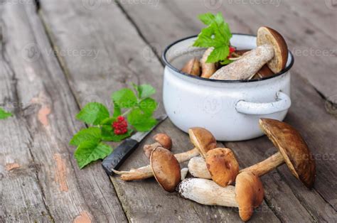 Picked edible forest mushrooms 1114202 Stock Photo at Vecteezy