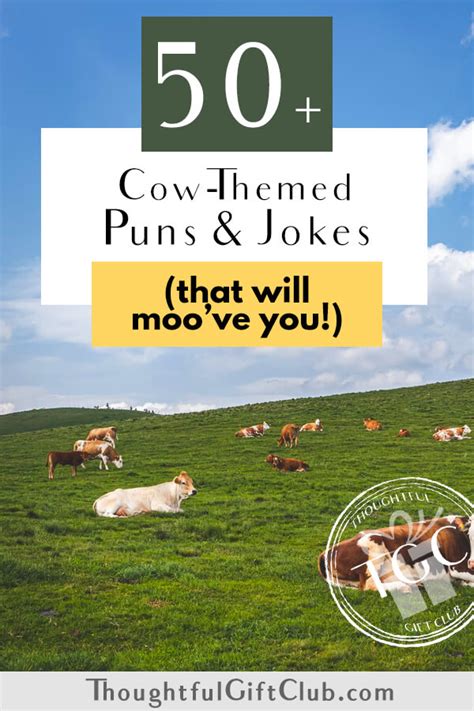 50+ Cow Puns & Jokes for Instagram Captions That Will Moo've You