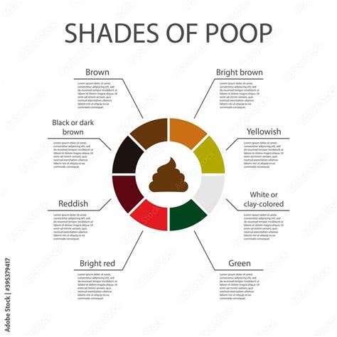 poop stool color changes color chart and meaning healthy concept stock - baby poop colors chart ...