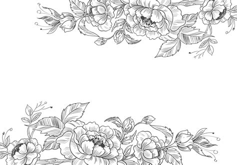 Hand drawn decorative floral borders 1241641 Vector Art at Vecteezy