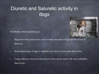 Screening diuretic drugs | PPT