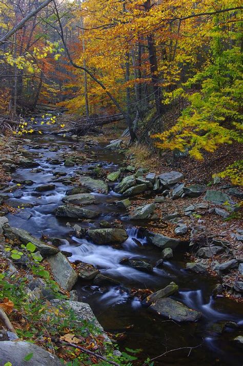 Tracking Color - Big Hunting Creek Catoctin Mountain Park Maryland ...