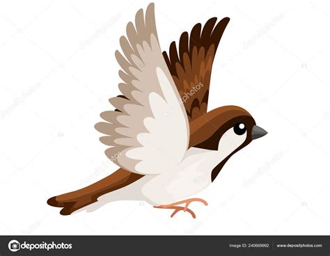 Side View Flying Sparrow Bird Flat Cartoon Character Design Colorful — Stock Vector © alfadanz ...