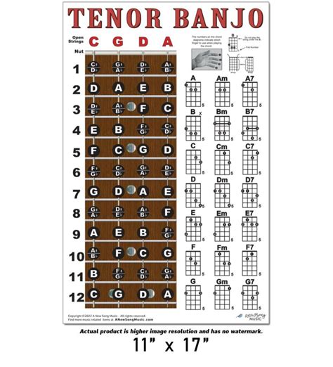 Tenor Banjo 4 String Fingerboard Wall Chord Chart Poster Notes Chords | eBay