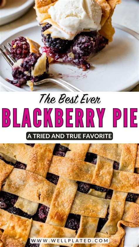 Blackberry Pie – WellPlated.com