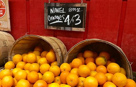 Navel Oranges | Navel Oranges, Pics by Mike Mozart instagram… | Flickr