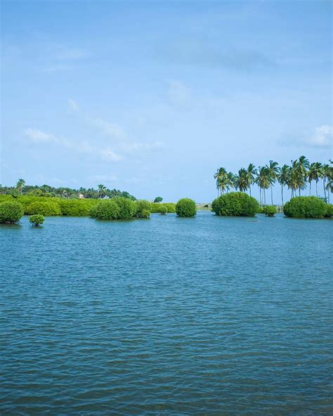 Kalpitiya Lagoon | Attractions in Kalpitiya | Love Sri Lanka