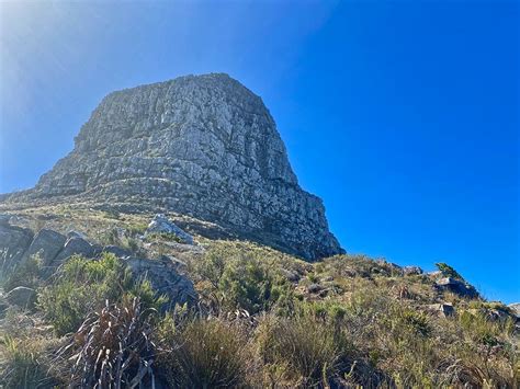 Complete Guide To Lion's Head Hiking Trail For 2022