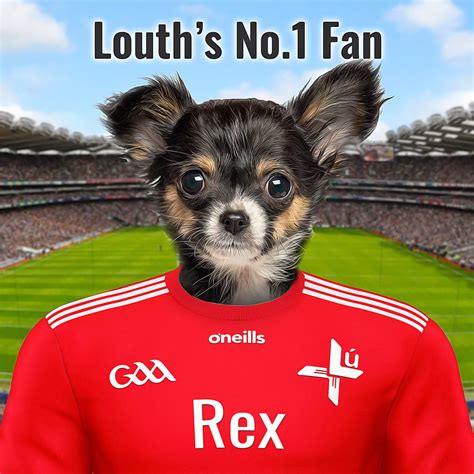 Louth GAA fans Pet Portraits – Picture Parcel