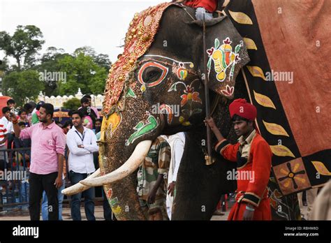 Decorated elephants at Mysore Dussehra celebration or Dasara festival ...