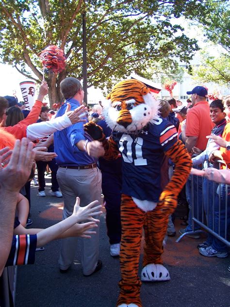 crenshawsinthemountains: Aubie-Auburn University's Mascot