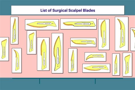 List Of Surgical Scalpel Blades Types Sizes Uses Off | My XXX Hot Girl