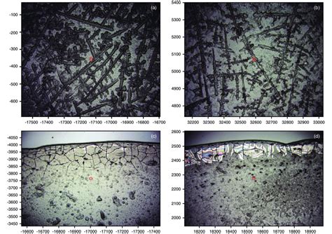 (online color at www.lphys.org) Microscopic images of saliva after ...