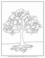 Apple Tree Coloring Page Printable sketch template