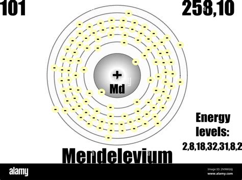 Mendelevium atom, with mass and energy levels. Vector illustration ...