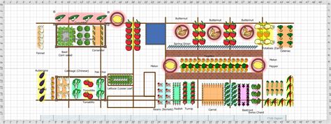 Tales from Swallow Farm: Polytunnel Re-design