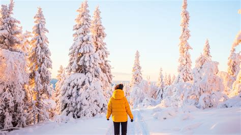 The Best Time Of Year To Experience All The Winter Activities Sweden Has To Offer