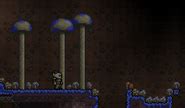 Glowing Mushroom | Terraria Wiki | Fandom powered by Wikia