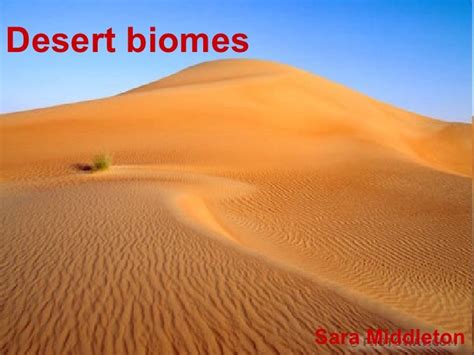 Desert Biomes