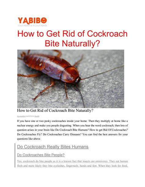 How to get rid of cockroach bite naturallypdf by ankithaanu - Issuu