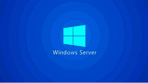 Microsoft releases first Windows Server 2025 preview build | MTRGO