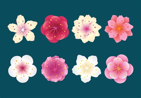 Plum Blossom Vector Art, Icons, and Graphics for Free Download