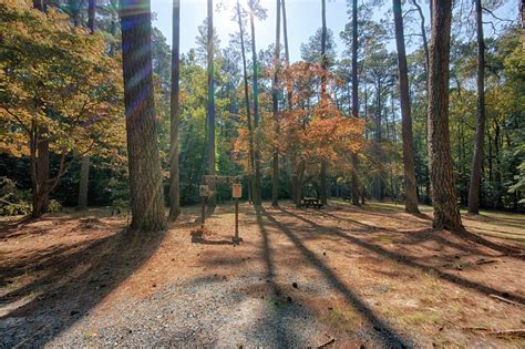 Pocomoke River State Park: Shad Landing or Milburn Landing? | Shorebread