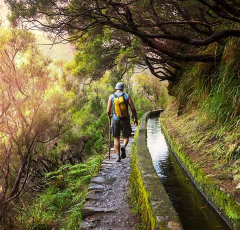 7 Outstanding Hikes In Madeira You Need To Try + Tips [2022]