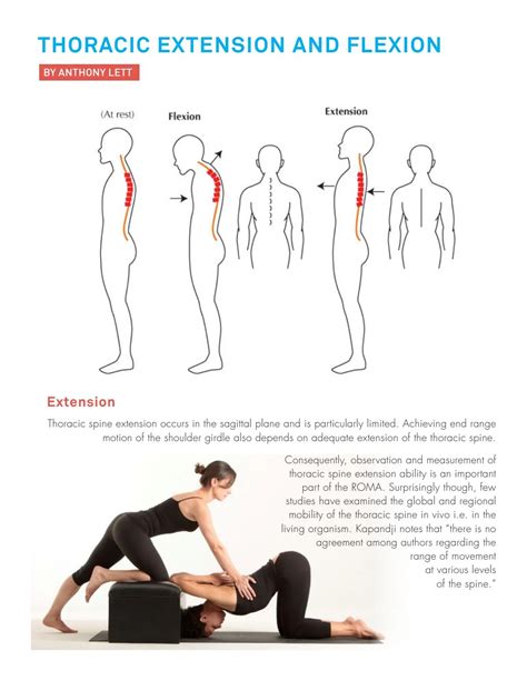 Thoracic Extension & Flexion by Innovations in Pilates - Issuu