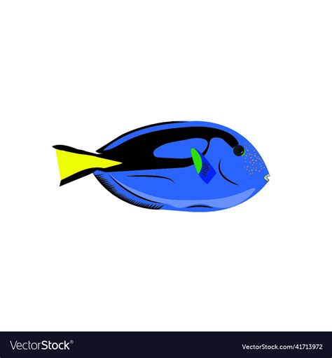 Royal blue tang fish aka dory Royalty Free Vector Image