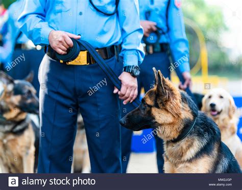 Nepal police dog hi-res stock photography and images - Alamy