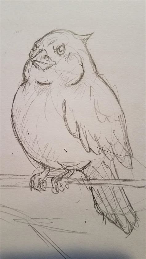 A fat bird I drew during the snow storm in Texas. : r/drawing