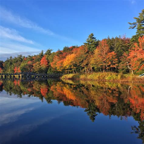 A guide to finding Nova Scotia’s best fall foliage | Environment ...